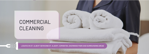 Image for Bust The Dust Housekeeping with ID of: 6517449