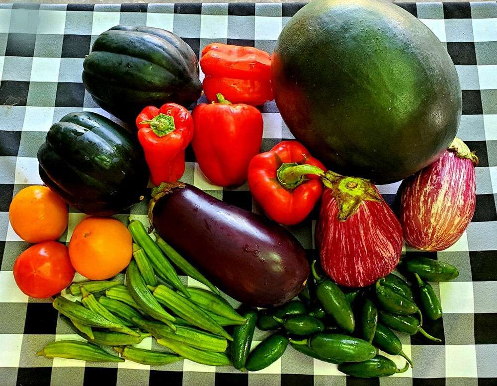 Image for HomeGrown Direct LLC with ID of: 6518120