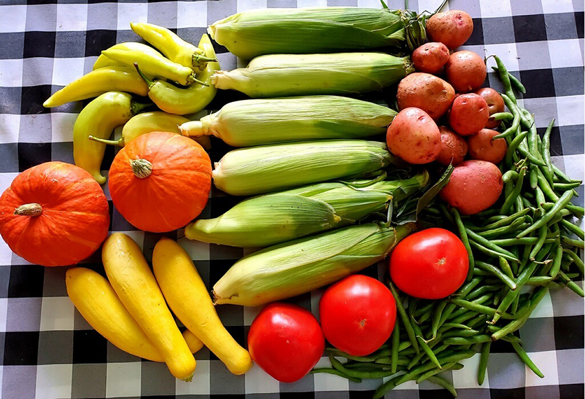 Image for HomeGrown Direct LLC with ID of: 6518121