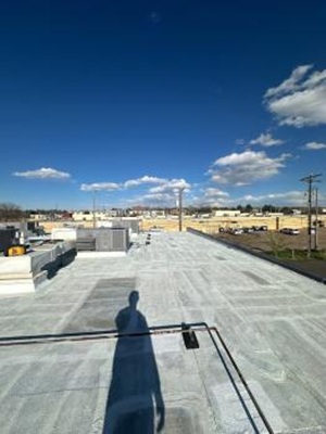 Image for Rize Exterior Services with ID of: 6520379