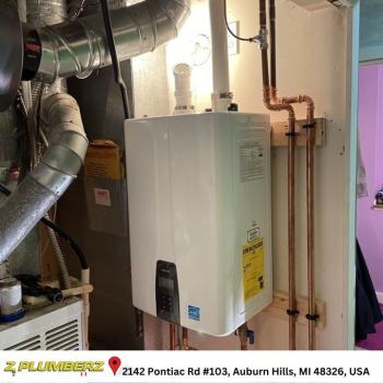 Image for Z Plumberz with ID of: 6522613