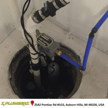 Image for Z Plumberz with ID of: 6522614