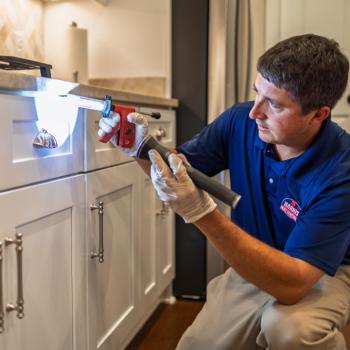 Image for Harris Pest Control, Inc. with ID of: 6523261