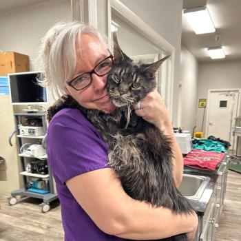 Image for Trinity Veterinary Hospital with ID of: 6523538