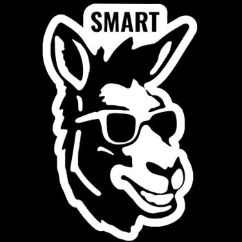 Image for Smart Ass Products, LLC with ID of: 6830545