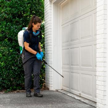 Image for got bugs? Termite and Pest Solutions with ID of: 6525010