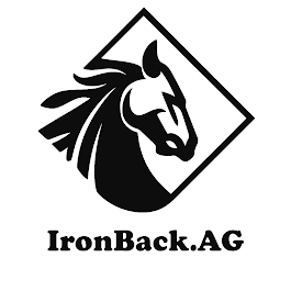 Image for IronBack.AG with ID of: 6830939