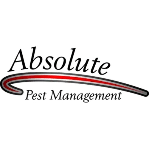 Image for Absolute Pest Management with ID of: 6831207
