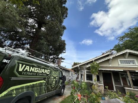 Image for Vanguard Termite Control Inc with ID of: 6525608