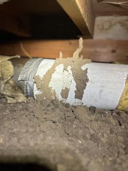 Image for Vanguard Termite Control Inc with ID of: 6525610