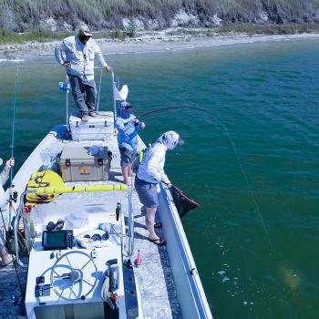 Image for Escape Charters with ID of: 6526495