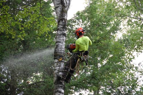 Image for ArborTech 