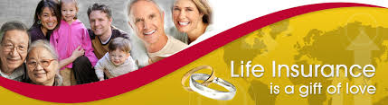 Image for The Insurance GPS with ID of: 683445
