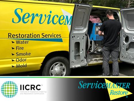 Image for ServiceMaster Restore with ID of: 6528103