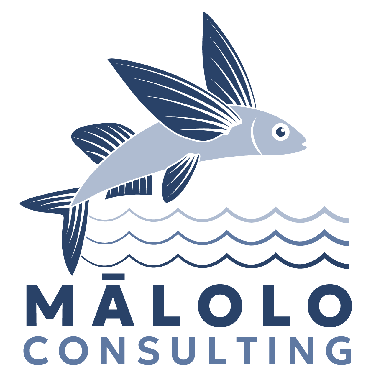 Image for Malolo Consulting with ID of: 6835449