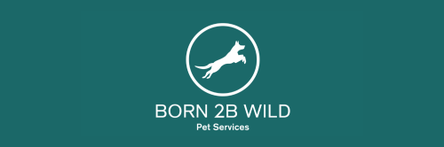 Image for Born 2B Wild Canine Academy with ID of: 6528492