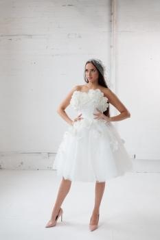 Image for Neli Bridal Designs with ID of: 6529537