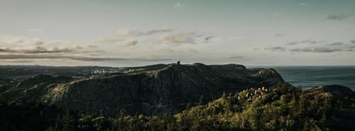 Image for Ryan Elliott | St. John's Newfoundland Realtor | Royal LePage Vision with ID of: 6529894