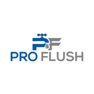 Image for ProFlush Plumbing with ID of: 6836852