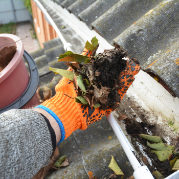 Image for JC Property Maintenance with ID of: 6533299