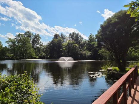 Image for Whispering Oaks with ID of: 6534633