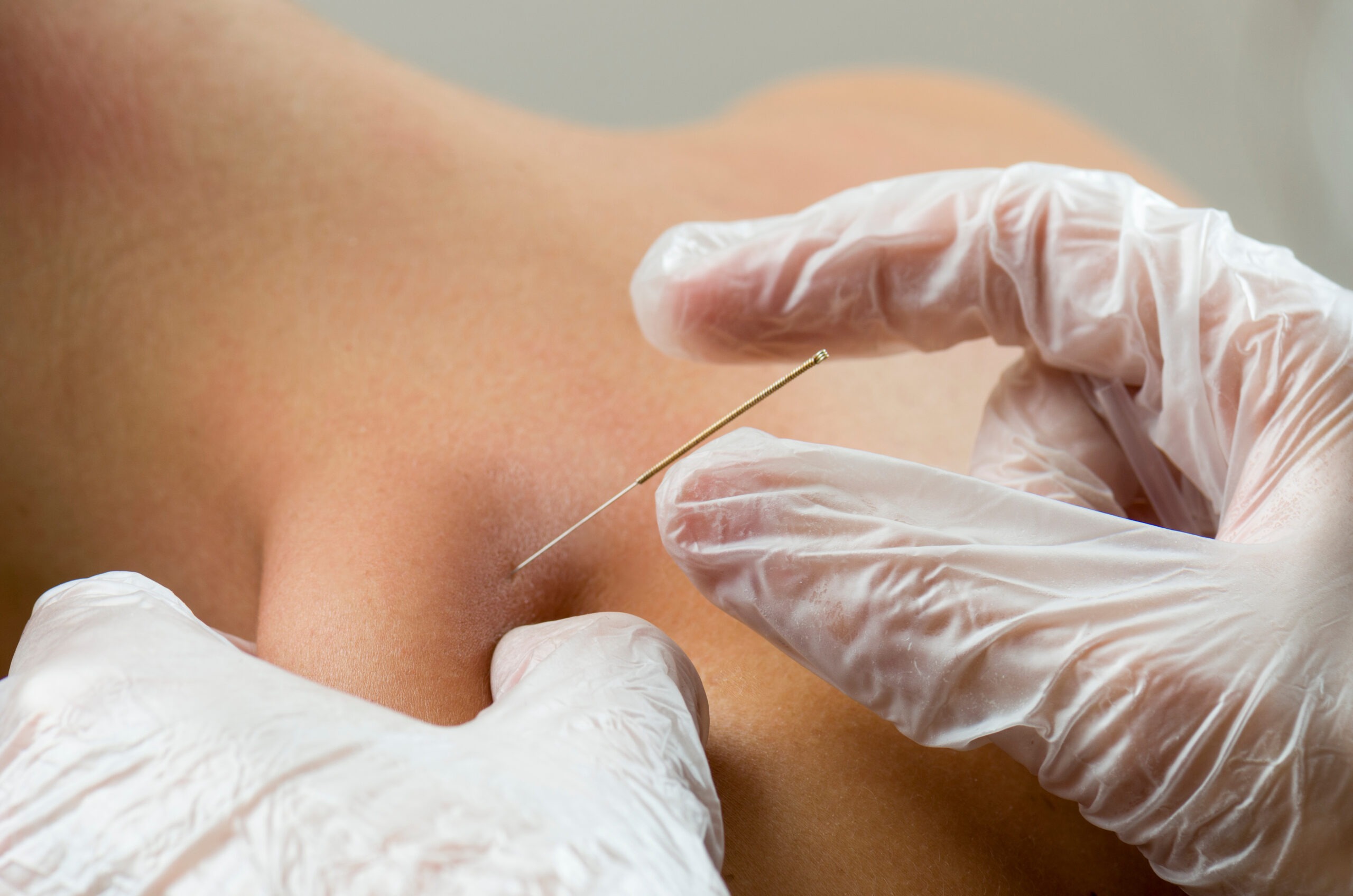 Image for PACT Physio & Rehab with ID of: 6535910