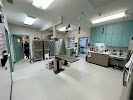 Image for Midtown Veterinary Practice with ID of: 6536463