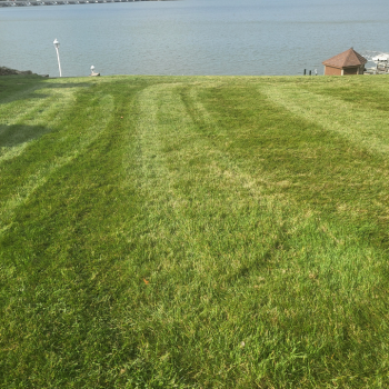 Image for NationScapes with ID of: 6537807