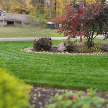 Image for NationScapes with ID of: 6537810