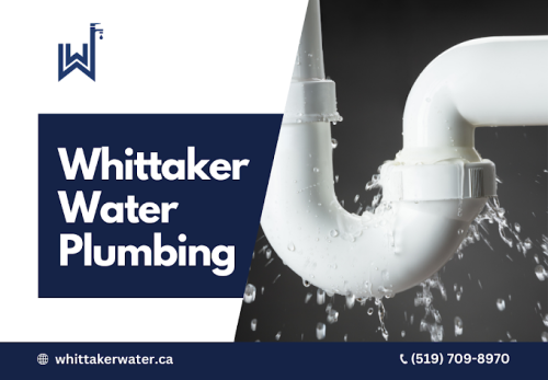 Image for Plumber with ID of: 6538169