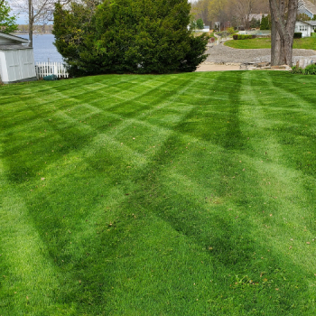 Image for Pine Valley Turf Management, LLC with ID of: 6540097