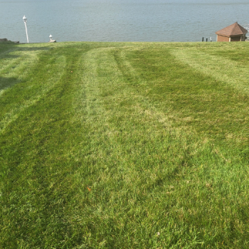 Image for Pine Valley Turf Management, LLC with ID of: 6540100