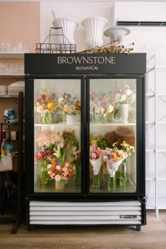 Image for Brownstone Botanical with ID of: 6540244