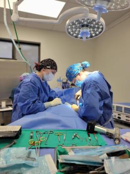 Image for Timberline Veterinary Emergency & Specialty with ID of: 6540468