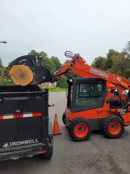Image for SpinBlade Tree Services with ID of: 6540761