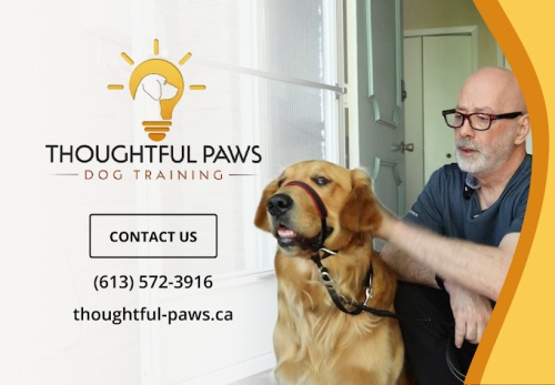 Image for Thoughtful Paws Dog Training with ID of: 6541347