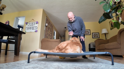 Image for Thoughtful Paws Dog Training with ID of: 6541349