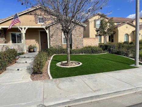 Image for Millenium Artificial Turf with ID of: 6544192