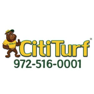 Image for CitiTurf with ID of: 6842745
