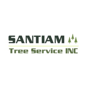 Image for Santiam Tree Service with ID of: 6842846