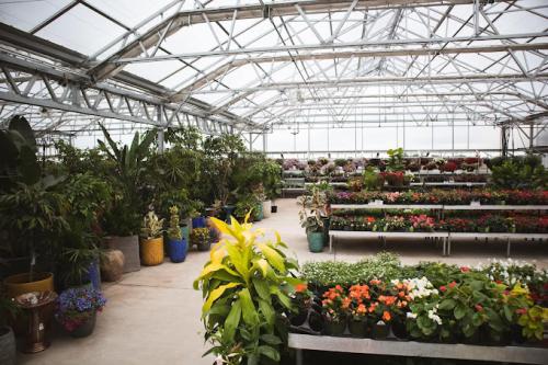 Image for Landscape Garden Centers with ID of: 6544889