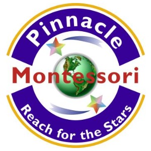Image for Pinnacle Montessori of Saginaw with ID of: 6843122