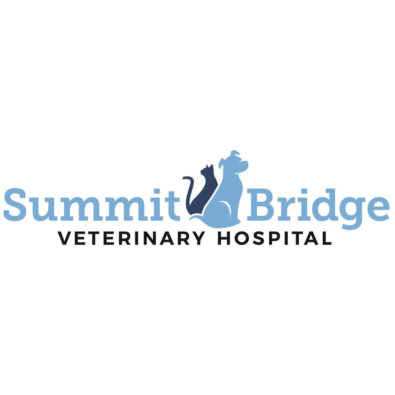 Image for Summit Bridge Veterinary Hospital with ID of: 6843865