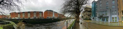 Image for Comfort Keepers Limerick with ID of: 6545620