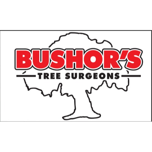 Image for Bushor's Tree Surgeons with ID of: 6844988