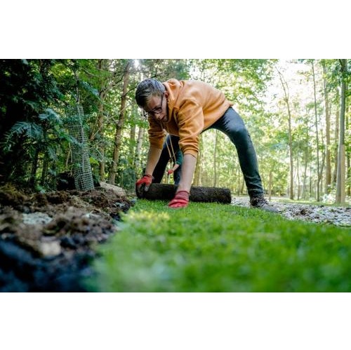 Image for GoLandscape with ID of: 6546103