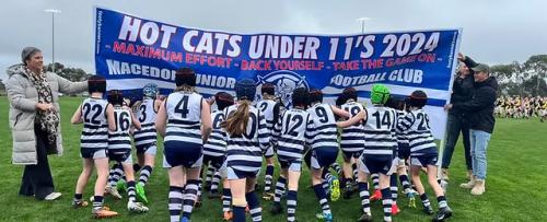 Image for Milestone Footy Banners Australia with ID of: 6546987
