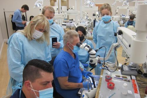 Image for Interdisciplinary Dental Education Academy - IDEA with ID of: 6547827