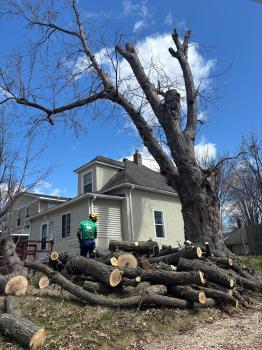 Image for Bratt Tree Company with ID of: 6551343