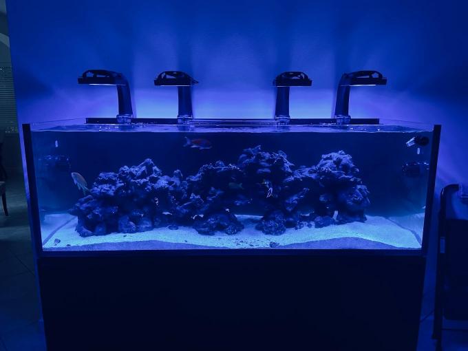 Image for Top Shelf Aquatics with ID of: 6551603